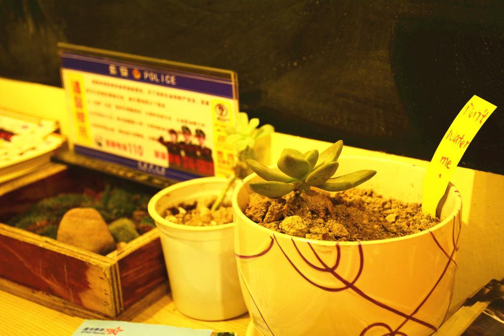 Zhangjiajie Peakcap Backpacker Hostel エクステリア 写真