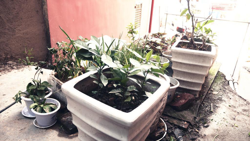 Zhangjiajie Peakcap Backpacker Hostel エクステリア 写真